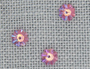 MH13006 - Margarita Rose