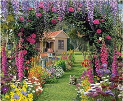 Diamond Painting Kit
