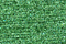 PB06 - Green Petite Treasure Braid