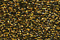 PB36 - Antique Gold Petite Treasure Braid