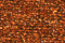 PB42 - Autumn Orange Petite Treasure Braid