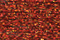 PB44 - Autumn Red Petite Treasure Braid