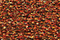 PB48 - Autumn Leaves Petite Treasure Braid