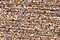 PB50 - Seashell Petite Treasure Braid