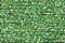 PB52 - Lighter Green Petite Treasure Braid