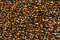PB55 - Brass Petite Treasure Braid