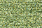 PB56 - Pale Avocado Petite Treasure Braid