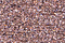 PB60 - Dark Powder Pink Petite Treasure Braid