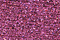 PB64 - Rose Petite Treasure Braid