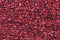 PB67 - Raspberry Petite Treasure Braid