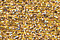 PB73 - Black Hills Gold Treasure Braid